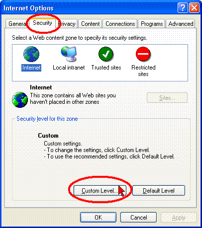 Internet Explorer Internet Options