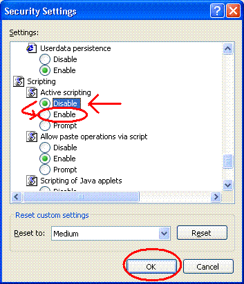 Internet Explorer Security Settings